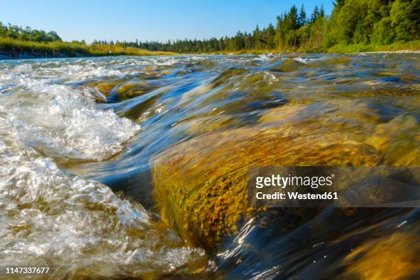 germany, bavaria, nature reserve isarauen, streaming clear water of isar - río isar fotografías e imágenes de stock
