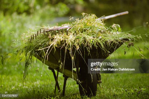 wheelbarrow full of weeds - gartengerät stock-fotos und bilder