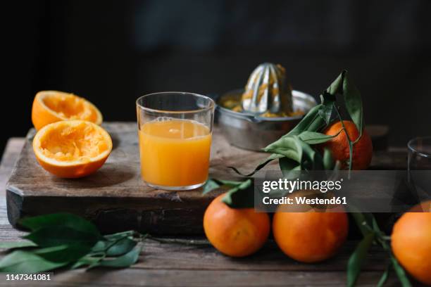 glass of freshly squeezed orange juice - orangensaft stock-fotos und bilder