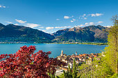 Idyllic place at the lake Lago Maggiore