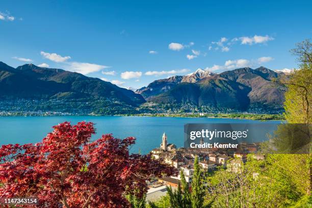 idyllic place at the lake lago maggiore - lake maggiore stock pictures, royalty-free photos & images