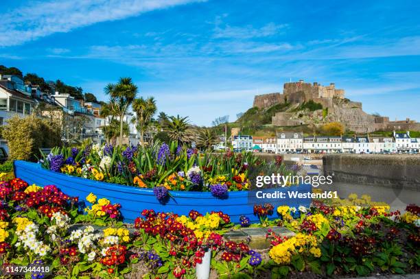 united kingdom, channel islands, jersey, the town of mont orgueil and its castle, flower bouquet in a boat - jersey england stock pictures, royalty-free photos & images