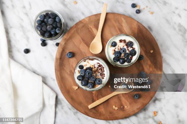 chia pudding parfait with chocolate and yoghurt with blueberries and granola in jars - mousse dessert 個照片及圖片檔