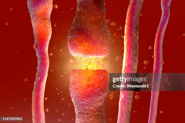 3d rendered illustration, visualisation of neurons firing neurotransmitters in the synaptic gap - synaptic cleft stock illustrations