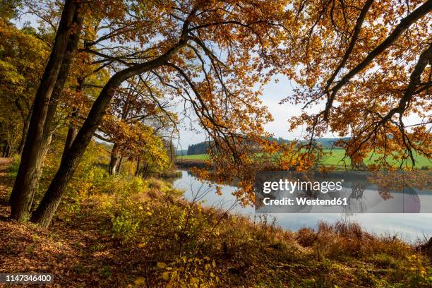 51 Roding River Stock Photos, High-Res Pictures, and Images - Getty Images