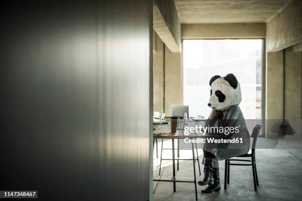 woman with panda mask sitting in office, thinking - bear suit 個照片及圖片檔