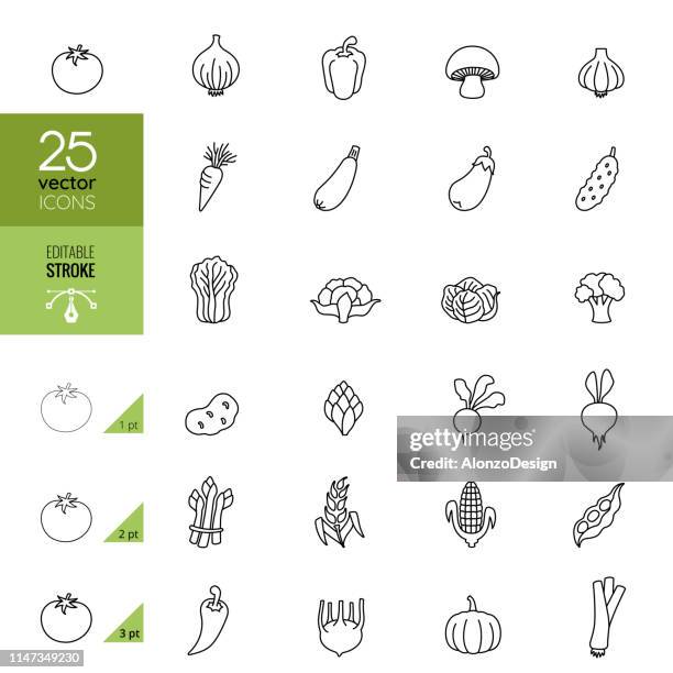 ilustrações, clipart, desenhos animados e ícones de ícones da linha dos vegetais. traçado editável. - cauliflower