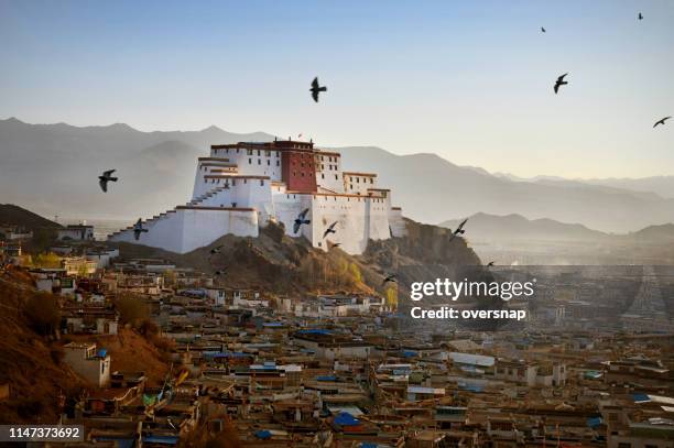 shigatse dzong, gateway to everest - tibet stock pictures, royalty-free photos & images