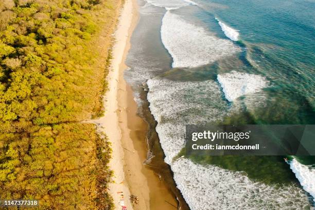 praia tropical - playa tamarindo - fotografias e filmes do acervo