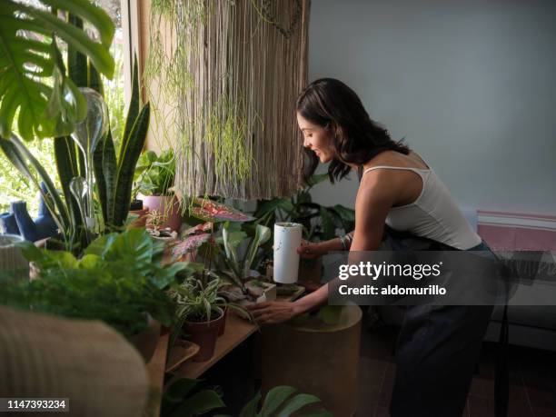 female shop keeper tending the plants at a garden store - houseplant stock pictures, royalty-free photos & images