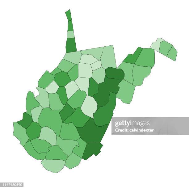 west virginia state map with counties - west-virginia-county-map stock illustrations