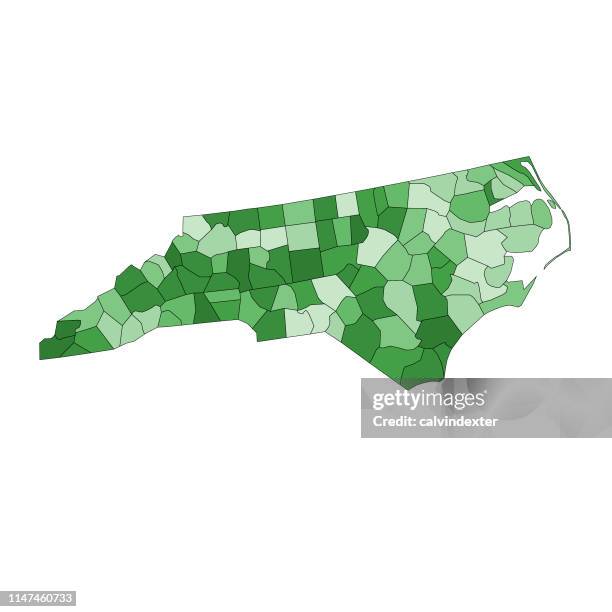 north carolina state map with counties - data driven culture stock illustrations
