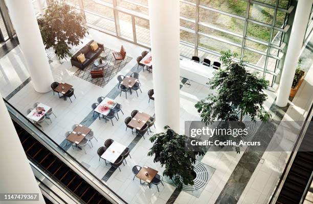 enjoy your meal in a relaxing environment - cafeteria stock pictures, royalty-free photos & images