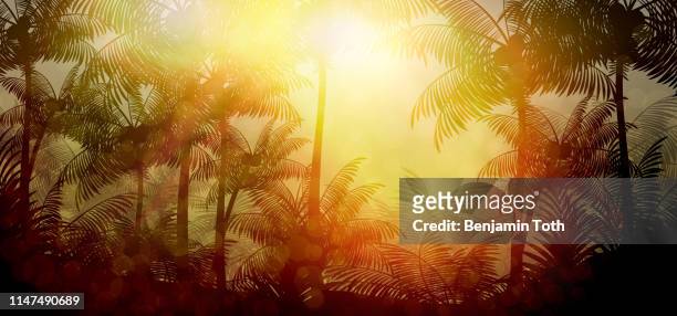 tropischer regenwald-dschungel-hintergrund mit palme - panorama stock-grafiken, -clipart, -cartoons und -symbole