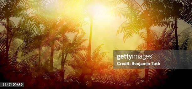 tropical rainforest jungle background with palm tree - palm tree stock illustrations