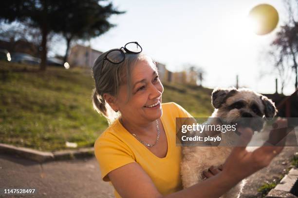 seniorin spielt mit ihrem hund im park - senioren spazieren sommer stock-fotos und bilder