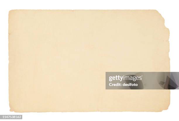 eine horizontale vektordarstellung eines schlichten, blank beige gefärbten alten papiers - papierstück stock-grafiken, -clipart, -cartoons und -symbole