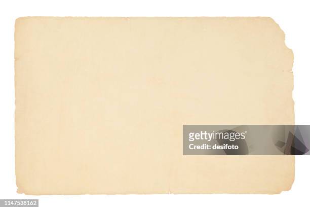 illustrazioni stock, clip art, cartoni animati e icone di tendenza di illustrazione vettoriale orizzontale di una vecchia carta bianca di colore beige - carta