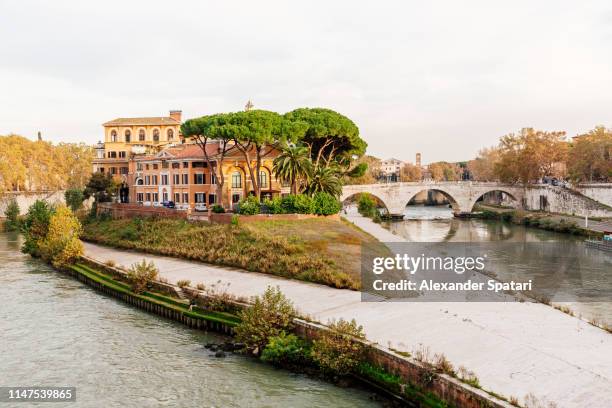 isola tiberina in trastevere, rome, italy - river tiber stock pictures, royalty-free photos & images