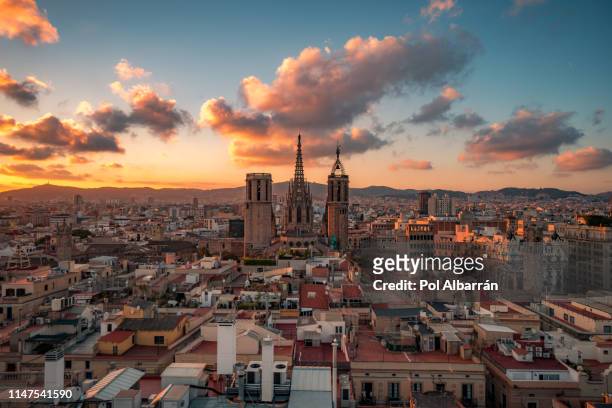 barcelona cathedral - barcelona spanje stockfoto's en -beelden