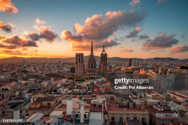 barcelona cathedral - barcelona bildbanksfoton och bilder