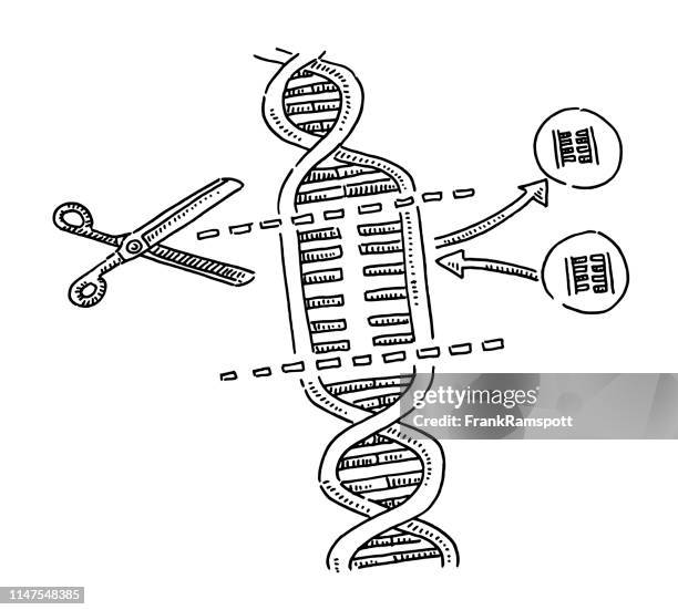 ilustraciones, imágenes clip art, dibujos animados e iconos de stock de crispr genético science dna sustitución dibujo - reemplazo