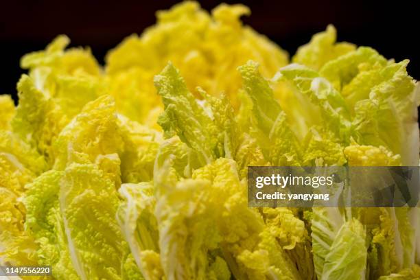 chinese cabbage - cut cabbage stock pictures, royalty-free photos & images