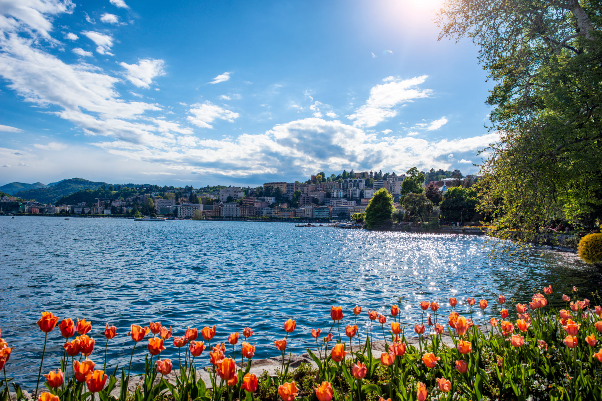 ticino park