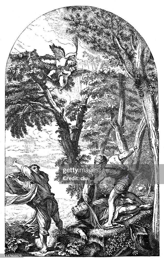 The Martyrdom of St. Peter Martyr