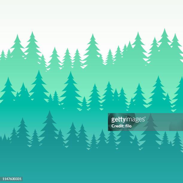 stockillustraties, clipart, cartoons en iconen met beboste dennenboom gelaagde achtergrond - pine woodland