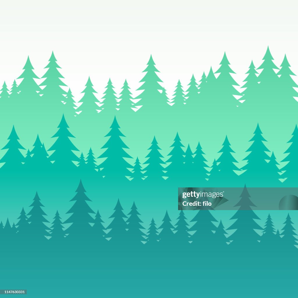 Wooded Pine Tree Layered Background