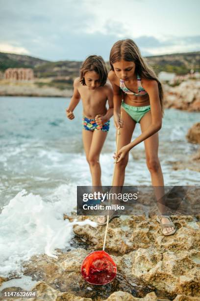 kinder erkunden felsen am strand - adria tour stock-fotos und bilder