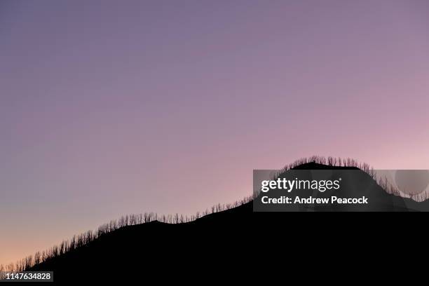 Volano Ridge Line Pumalin Photos and Premium High Res Pictures - Getty Images