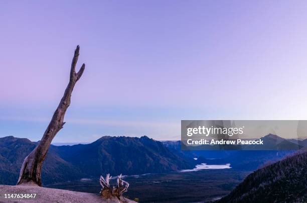 parque pumalin landscape from volcano chaiten - andrea park stock pictures, royalty-free photos & images