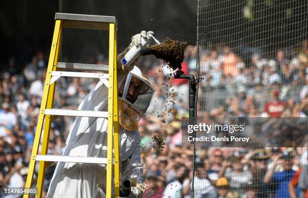 Beekeeper removes bees from a microphone behind home plate during the third inning of a baseball game between the San Diego Padres and the Miami...