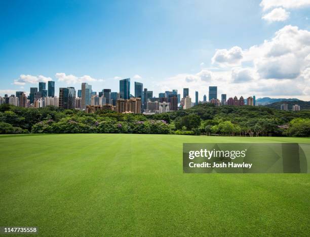 city park grass - park panoramic stock pictures, royalty-free photos & images