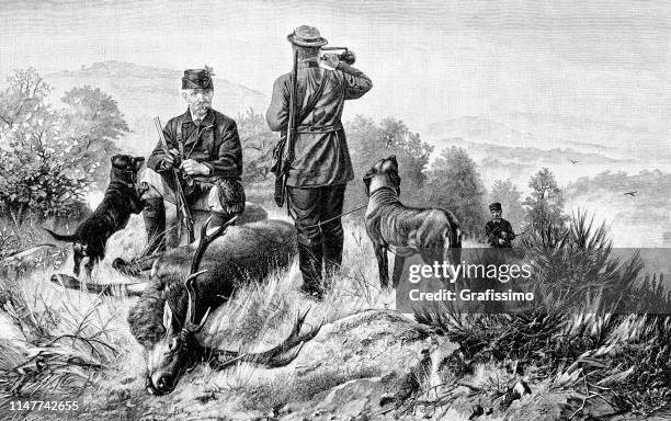 men hunting deer in nature 1890 - 1890s stock illustrations