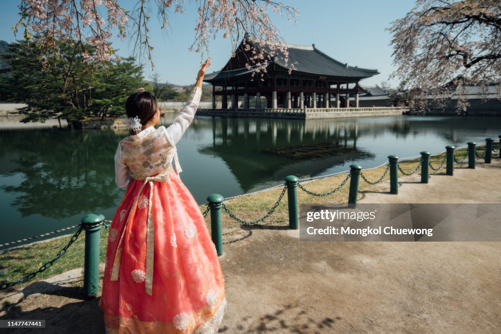 Young asian woman traveler in korean national dress or Hanbok traveling into the Gyeongbokgung Palace with cherry blossom or calling sakura flower at Seoul city, South Korea.