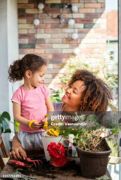 planting time - cuban ethnicity stock pictures, royalty-free photos & images