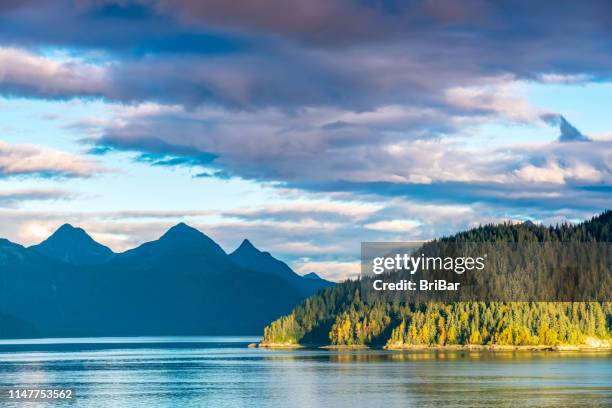 alaskan fjord with sunlit forested headland - alaska coastline stock pictures, royalty-free photos & images