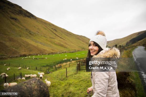 lammeren - county donegal stockfoto's en -beelden