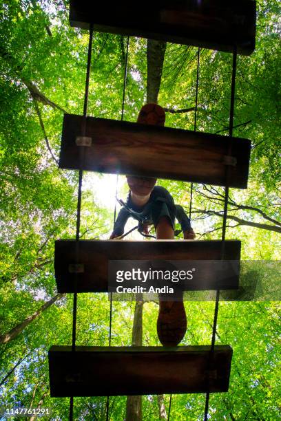 High ropes course at a forest. Treetop adventure course viewed from the ground: someone walking on a footbridge, surrounded by trees.