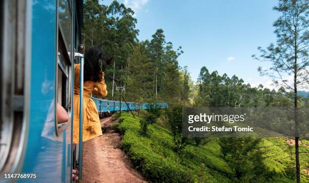 vrouw die de trein rit in sri lanka theeplantages - slow stockfoto's en -beelden