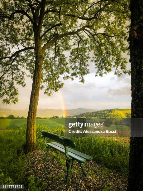 good vibes in italy - rainbow and growth stock pictures, royalty-free photos & images