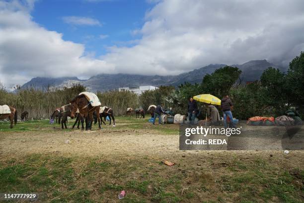 Larbaa Beni Hassen.traditional weekly souk market. Route nationale 2. Our N2 from Tetouan to Chefchaouen. Morocco. Nort. Africa. Africa.