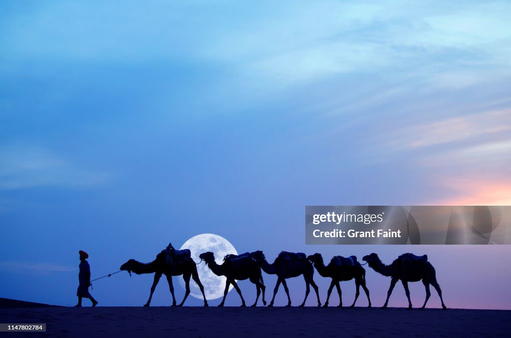 Tuareg camel guide at Sahara desert