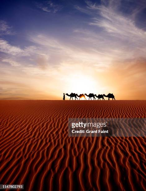 tuareg camel guide at sahara desert - terra em estado natural imagens e fotografias de stock