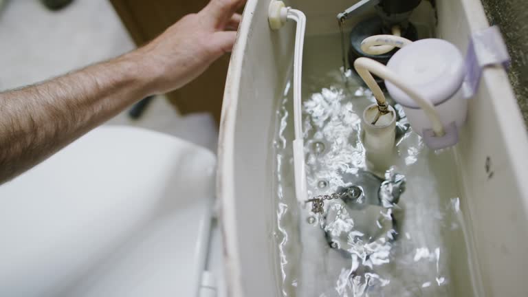 Human Toiler 4,969 Human Toilet Stock Videos, Footage, & 4K Video Clips - Getty Images
