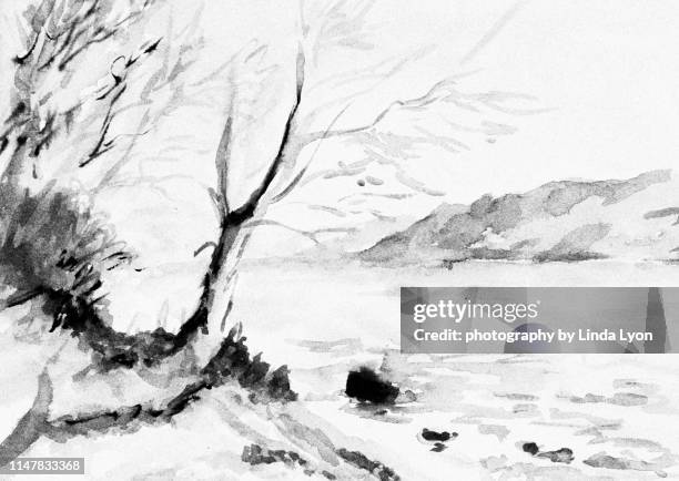 charcoal sketch - houtskooltekening stockfoto's en -beelden