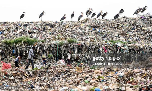 Indian Rag Pickers Indian Stork Photos and Premium High Res Pictures - Getty Images